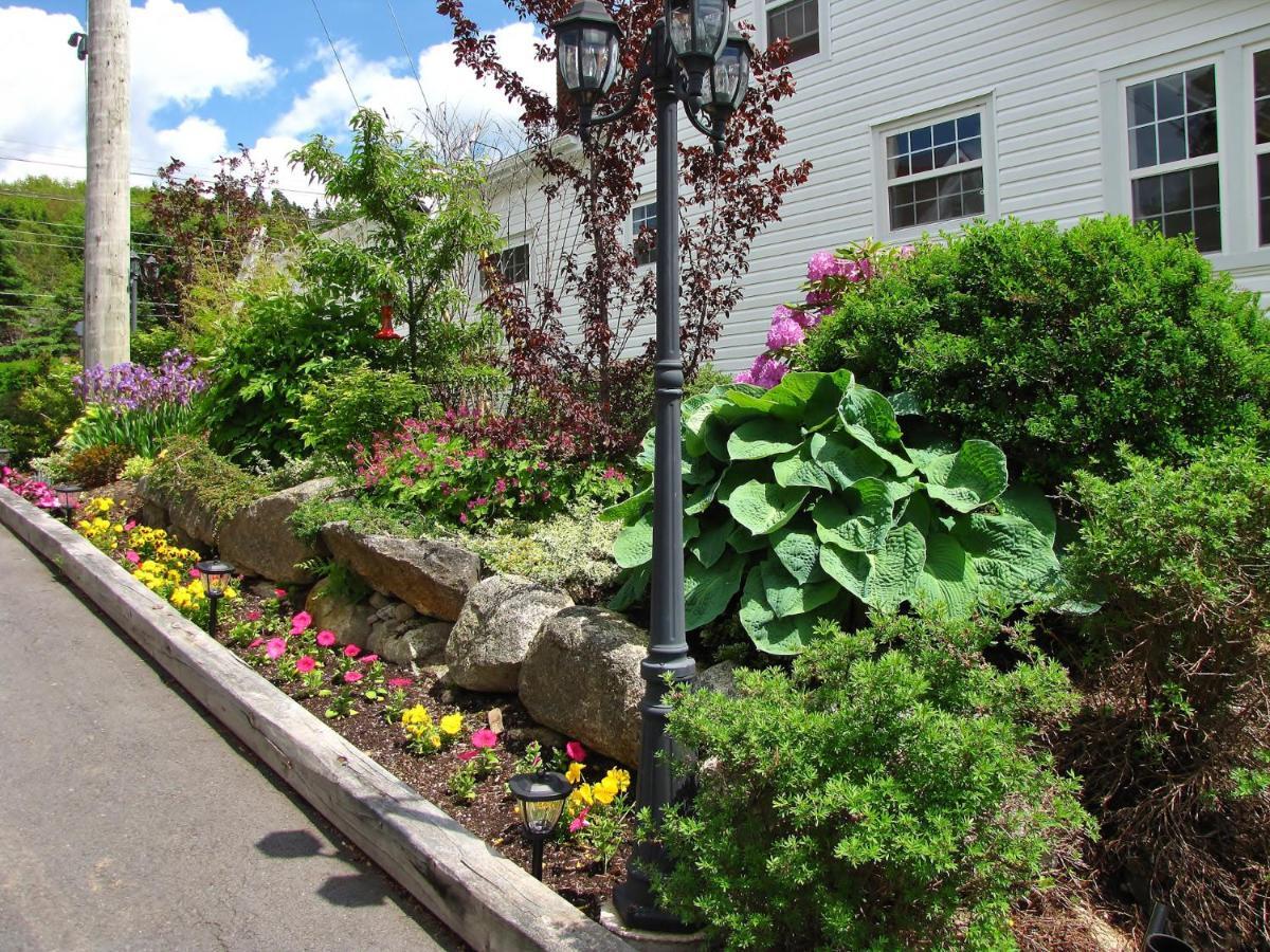 Larinda'S Landing Oceanfront Cottages Halifax Buitenkant foto